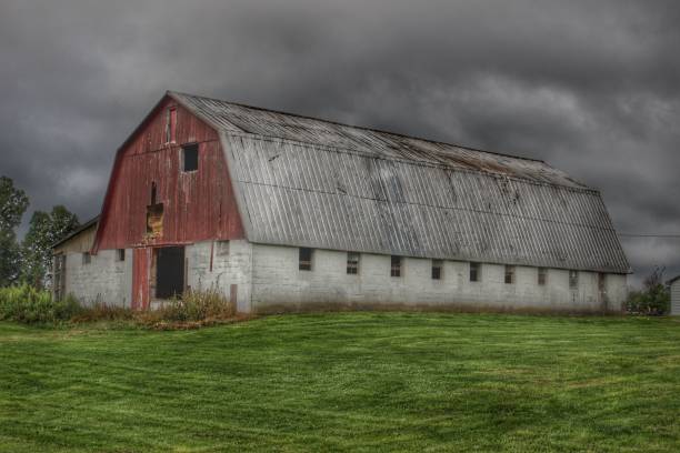 istock 0487 - Peter's Road Alpaca Barn I 1181921863