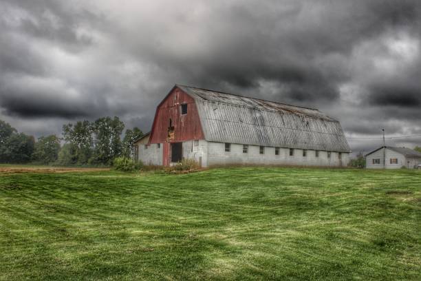 istock 0488 - Peter's Road Alpaca Barn II 1181921879