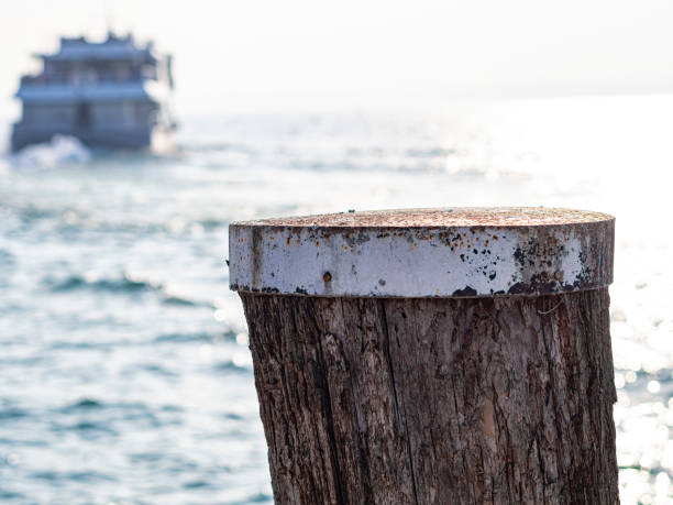 istock Wood mooring pole with a ferry in background 1181922004