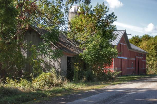istock 0512 - Bordman Road Red and Little Grey 1181922420