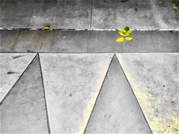 istock Light and dark gray  with varied Marble in a triangular shape with a golden leaf 1181923062