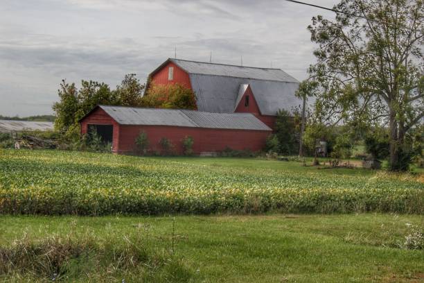 istock 0528 - West Dodge Road Reds 1181923590