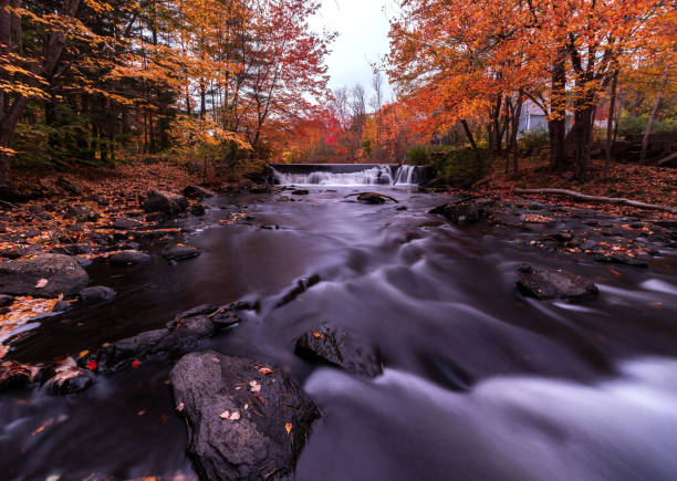 istock Foliage on the Mousam River 1181923749