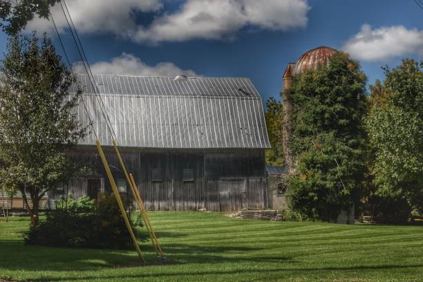 istock 0535 - Ludwig Road's Summer Grey and Silo 1181923790