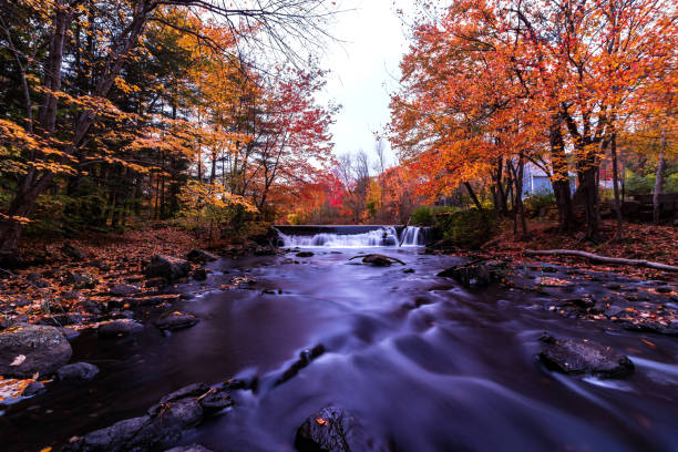 istock Foliage on the Mousam River 1181923883