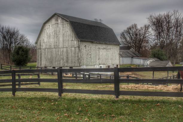 istock 0544 - Roadside White Byond the Fences 1181923897