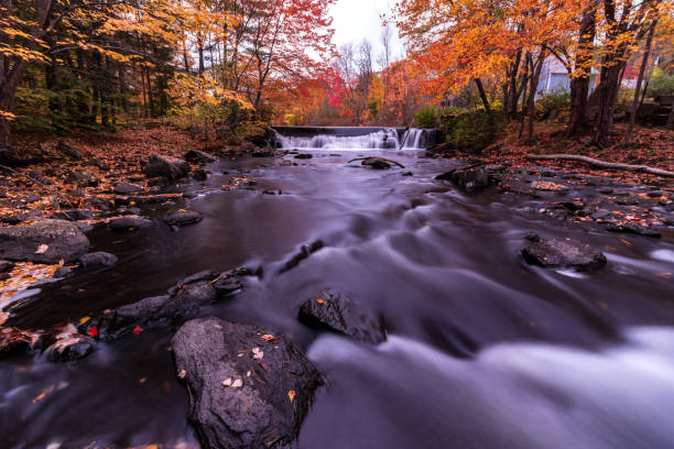 istock Foliage on the Mousam River 1181924045