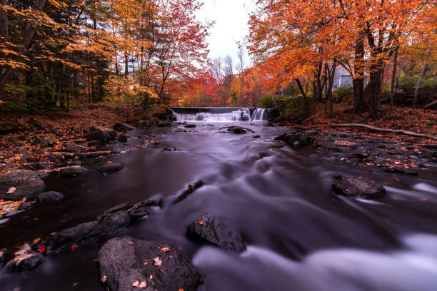 istock Foliage on the Mousam River 1181924068