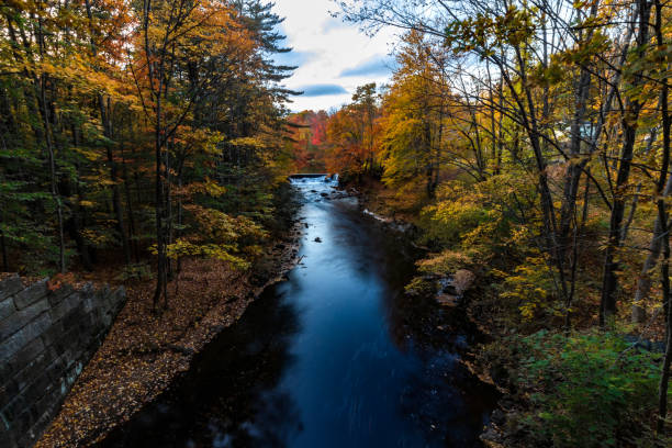 istock Foliage on the Mousam River 1181924100