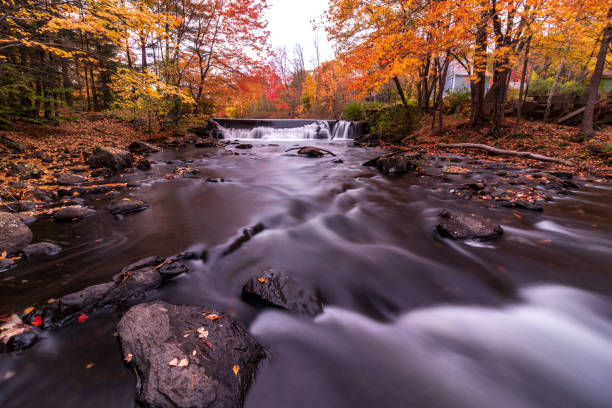 istock Foliage on the Mousam River 1181924119