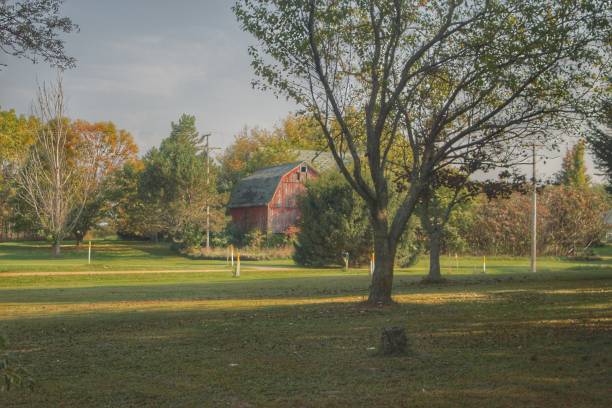 istock 0566 - Belle River Red III 1181924651