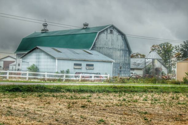 istock 0643 - Richville Road Grey II 1181928234