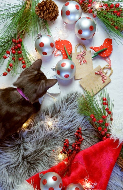 istock Cute Christmas concept with black kitten playing with decorations. 1181928302