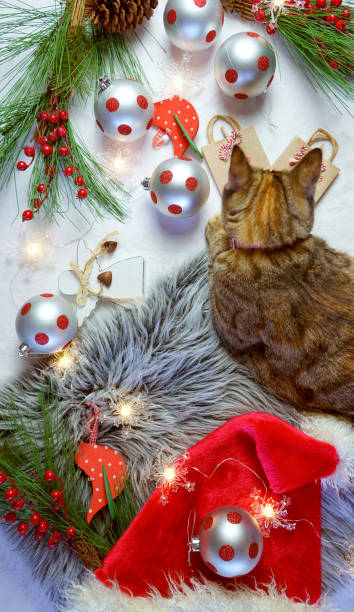 istock Cute Christmas concept with black kitten playing with decorations. 1181928322