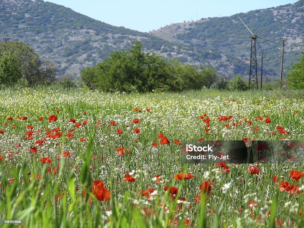 クレタ風景ギリシャ - カラー画像のロイヤリティフリーストックフォト