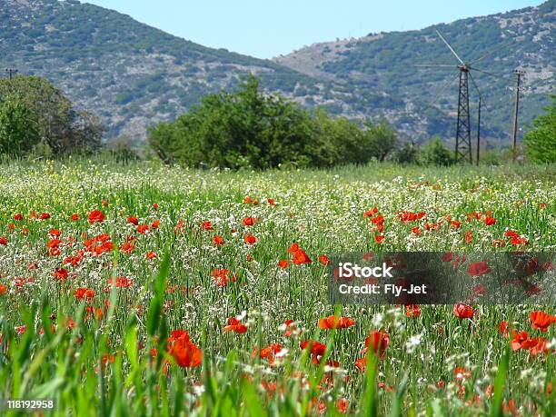 Paisagem Creta Grécia - Fotografias de stock e mais imagens de Agricultura - Agricultura, Ajardinado, Ao Ar Livre