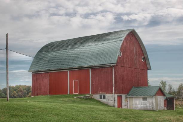 istock 0679 - Elmwood Road Red I 1181929615
