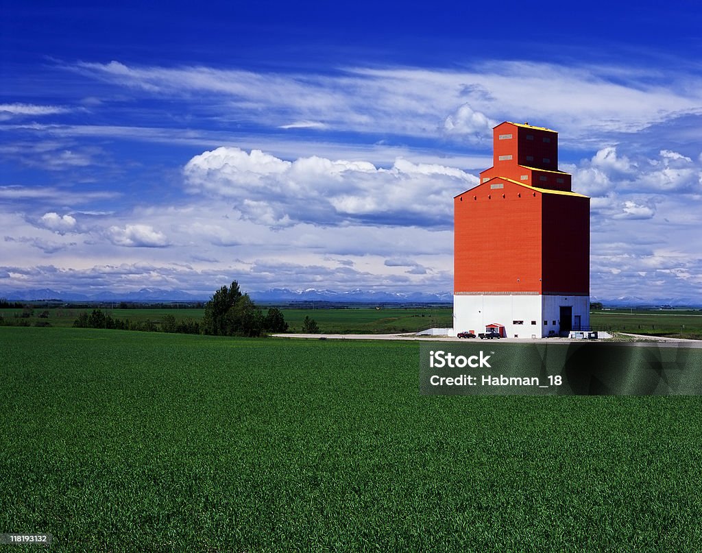 Оранжевый Зерновой элеватор в зеленые поля - Стоковые фото Альберта роялти-фри