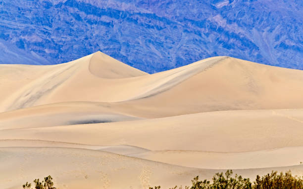 istock Sand Dunes, Death Valley, USA 1181933782