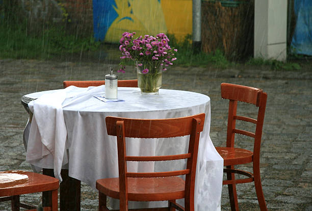 Birds seek refuge from a winter storm at an outdoor cafe in central Berlin, Germany.