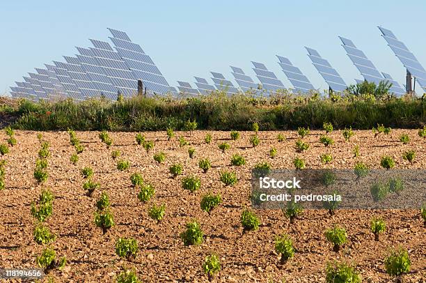 Vinha E Painéis Solares - Fotografias de stock e mais imagens de Painel Solar - Painel Solar, Vinha, Agricultura