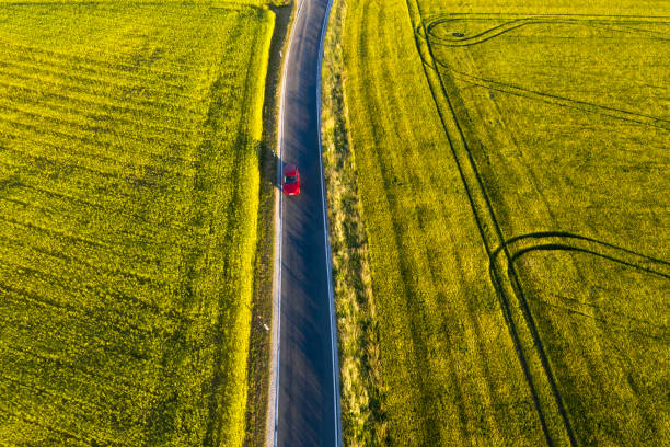 istock Red Car on Road Between Fields, Aerial View 1181947023
