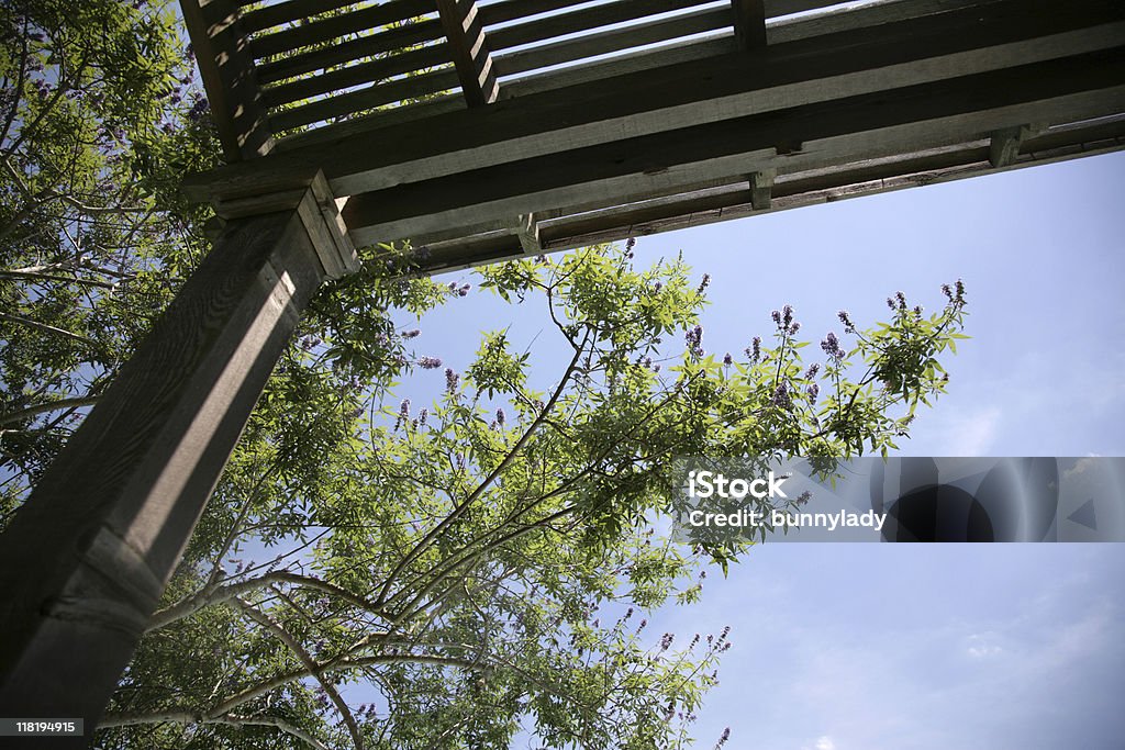 Looking up!  Beginnings Stock Photo