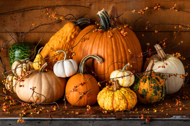 istock Fall Harvest Pumpkins and Bittersweet Vine 1181972397