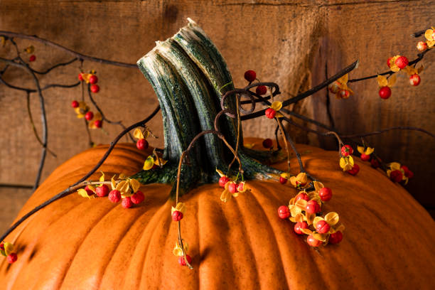 istock Close up of Pumpkin and Bittersweet Vine 1181972947