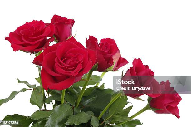 Rosas Rojas Con Follaje Aislado En Blanco Foto de stock y más banco de imágenes de Buqué - Buqué, Cabeza de flor, Color - Tipo de imagen