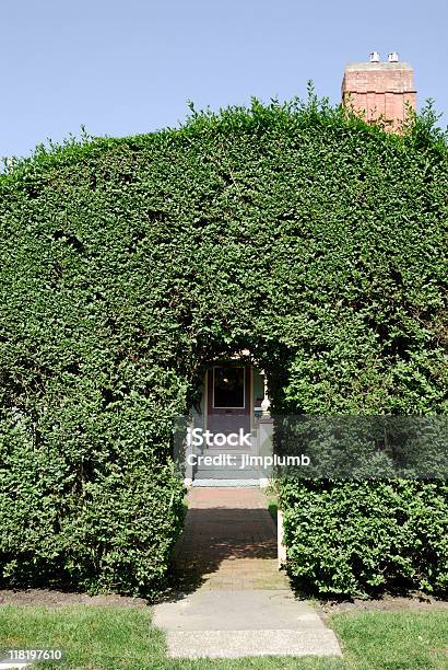 Tunnel Entrance Through A Hedge Stock Photo - Download Image Now - Architecture, Building Entrance, Color Image