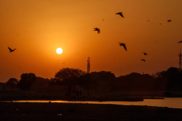 istock Sunset in Jaisalmer. India 1181978979