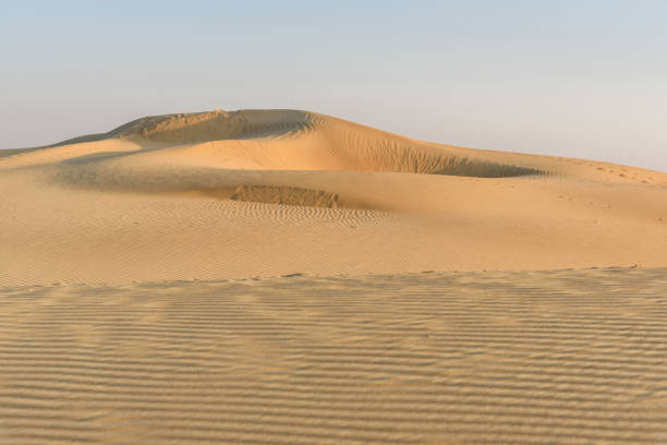 istock Sand dunes in Thar desert. Jaisalmer. India 1181979954