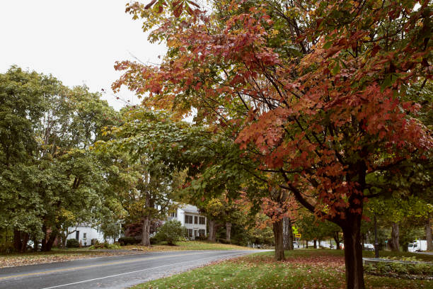 390+ Contea Di Bennington Foto stock, immagini e fotografie royalty