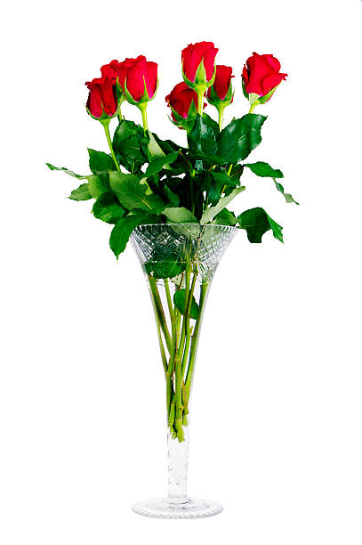 bunch of red roses in vase decoration
