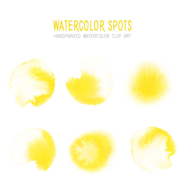 ilustrações de stock, clip art, desenhos animados e ícones de bright yellow  watercolor circle splashes set isolated on white background. yellow ink patches set. watercolor circles or spots collection. design element for greeting cards and labels, abstract background. - vector illustration and painting abstract acrylic