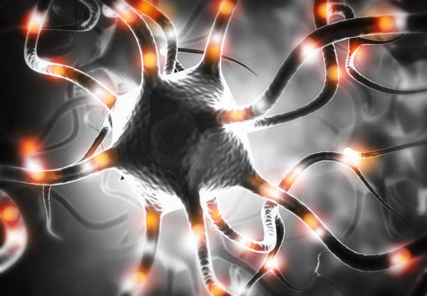 Neuron cells sending  electrical chemical signals. 3d illustration