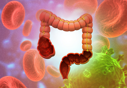 Anatomía del intestino grueso sobre el fondo de la ciencia photo