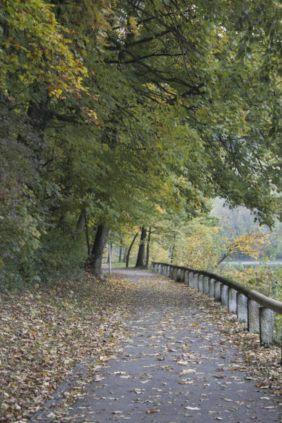 istock Traun River side, Gmunden, Austria 1181995798