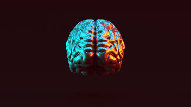 istock Silver Human brain Anatomical with Red Orange and Blue Green Moody 80s lighting Front 1181996789