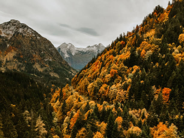 istock Mountain scenery in the alps 1181996851