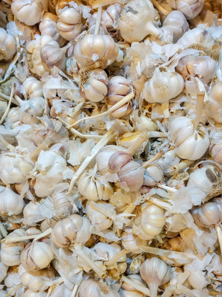 istock garlic in the pile texture, white garlic fresh background 1181998100