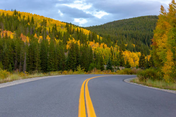 istock Colorado fall color road autumn 1181998407