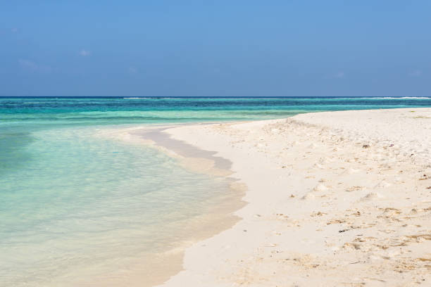 istock Tropical empty wild beach in Maldives, Indian Ocean 1181998419