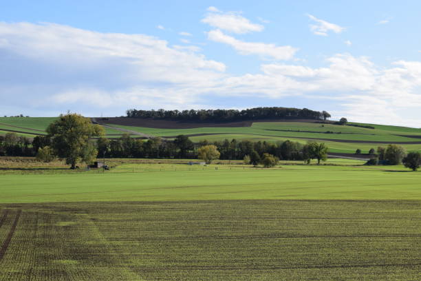 istock wide green valley in Eifel autumn 1181999222