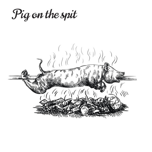illustrazioni stock, clip art, cartoni animati e icone di tendenza di il maiale viene cotto su carboni e ruota su uno spiedino. schizzo vettoriale su un bianco - pig roast