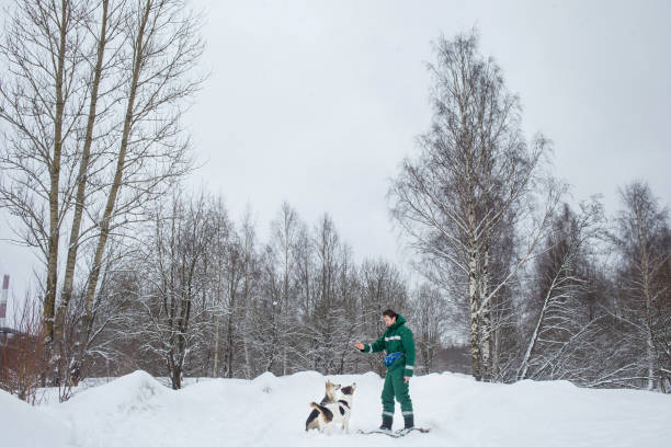istock Two dogs walk outdoors in winter with an owner 1182003490
