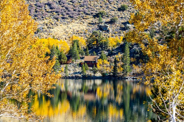 istock Fall foliage fall colors autumn season 1182004734