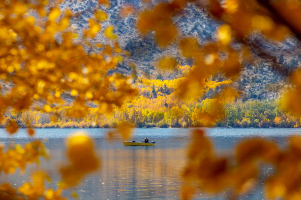 istock Fall foliage fall colors autumn season 1182004745