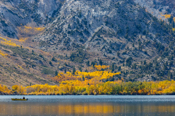 istock Fall foliage fall colors autumn season 1182004747